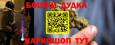 крисы Бийск