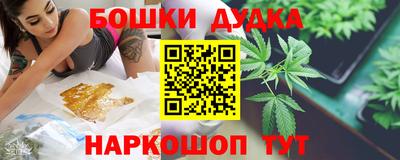 крисы Бийск