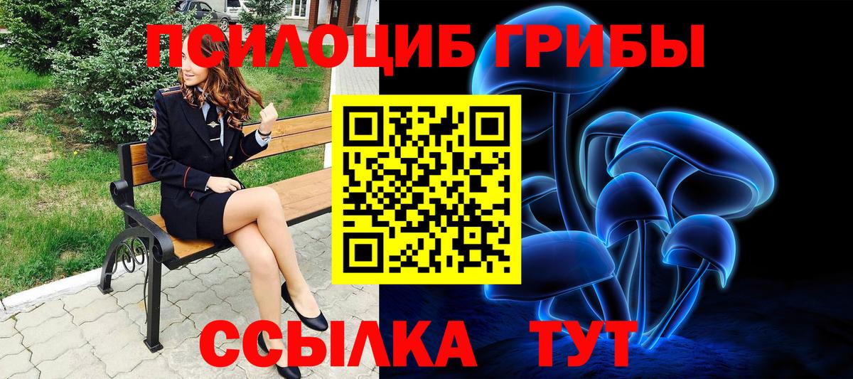 Галлюциногенные грибы Magic Shrooms Каменск-Шахтинский